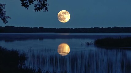 Majestic full moon reflecting on a calm lake at night in serene nature setting, full moon at night at lake video - Powered by Adobe