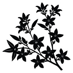 Silhouette of a Blooming Floral Branch with Leaves