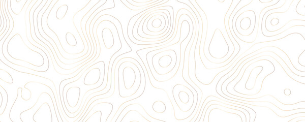 Abstract seamless vector pattern with decorative swirl and geometric line