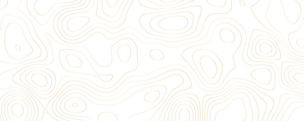 Abstract seamless vector pattern with decorative swirl and geometric line