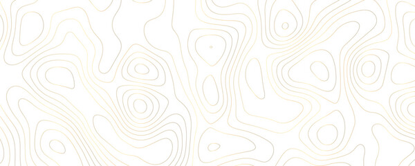 Abstract seamless vector pattern with decorative swirl and geometric line