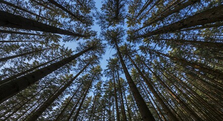 Obraz premium Celestial Canopy AI Generated