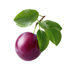 Ripe juicy purple plum with vibrant green leaves and stem showcasing the natural beauty and freshness of this wholesome fruit