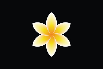 white yellow orange  color with white background frangipani flower on black background vector illustration design 