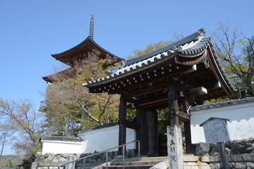 三明院　山門と多宝塔　京都市左京区上高野