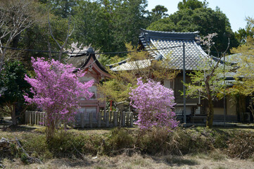 春の曼殊院　天満宮と弁天堂　京都市左京区