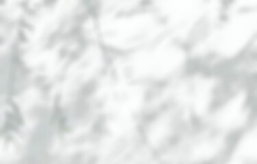 White gray sun shadow of leaves tree plant on white wall. Sunlight shining through window overlay effect shadows