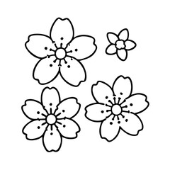 Simple Line Drawing of Cherry Blossoms Flowers Japanese Floral Design