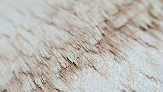 Close-up shot of splintered wood texture.  Ideal for backgrounds, design projects, and textures.