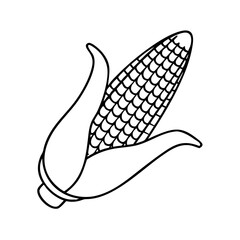 A simple line drawing of an ear of corn cob with husk