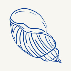 Unique blue shell illustration with detailed textures and patterns