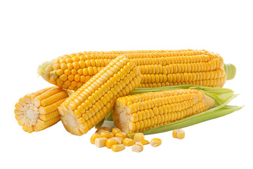 corn isolated on white background