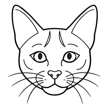 vector illustration hade line of a cat