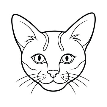 vector illustration hade line of a cat