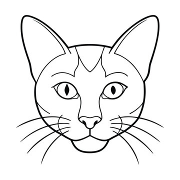 vector illustration hade line of a cat
