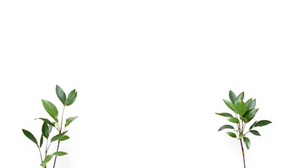 Clean Modern Mockup for Presentation Slides and Brochures.