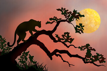 Digital painting watercolor of Amazing safari silhouette of leopard on tree in africa with sunset. © somwut