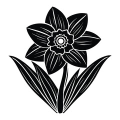 Black and White Daffodil Illustration