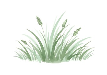 Obraz premium A watercolor illustration of grass