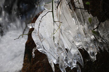 滝の近くの枝にできた氷の塊