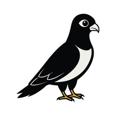 Cartoon Black and White Pigeon Illustration