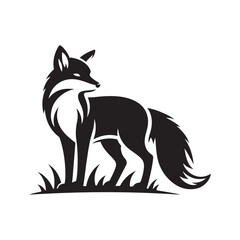 A wolf is standing on a rock with a black background
