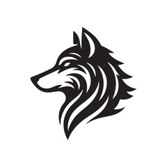 A wolf is standing on a rock with a black background
