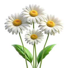 Naklejka premium Three White Daisies with Green Leaves 3D Render
