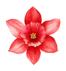 Watercolor painting of a vibrant red poppy flower with delicate petals and yellow stamen