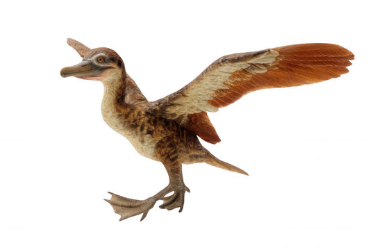 Ichthyornis Prehistoric Seabird with Realistic Feathers Full Body Transparent Background