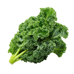 Fresh organic kale bunch with curly green leaves, nutritious superfood packed with vitamins and minerals, perfect for healthy meals and salads