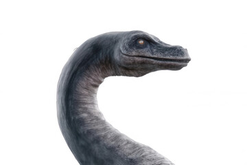 Fototapeta premium Realistic Loch Ness Monster with Stylized Neck Transparent Background