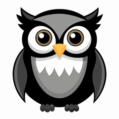 owl on white background