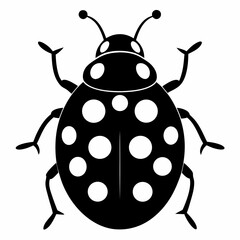 vector illustration of a ladybug