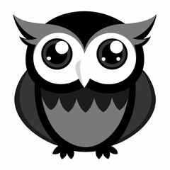 owl on white background