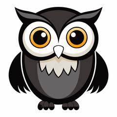 owl on white background
