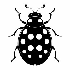 ladybird vector illustration