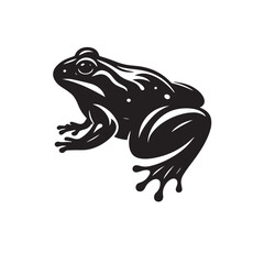 frog on white background