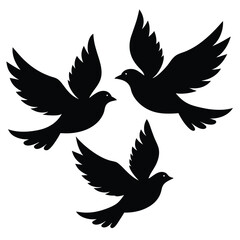 Fototapeta premium Bird group vector silhouette collection