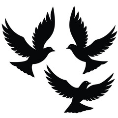 Fototapeta premium Bird group vector silhouette collection