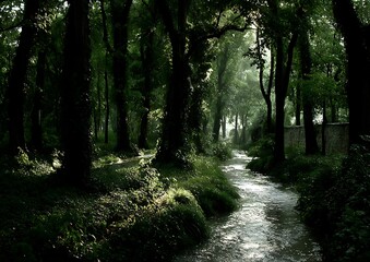Obraz premium Forest Stream Sunlight Path.
