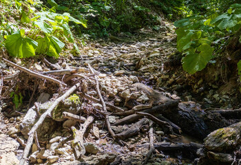 summer- hiking to the sources of a mountain river through difficult wilderness areas