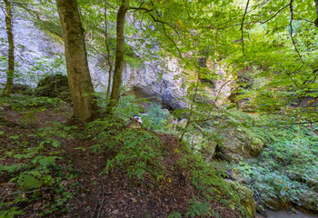 Fototapeta premium summer- hiking to the sources of a mountain river through difficult wilderness areas