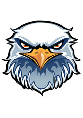 This is an illustration of a head of eagle
