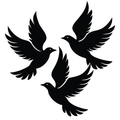 Obraz premium Bird group vector silhouette collection