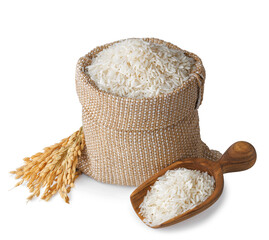 long rice in burlap sack and wooden scoop with ears isolated on white background