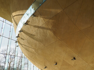Golden Curved Ceiling with Birds Flying Under Glass Roof in Contemporary Museum Space