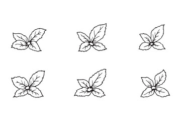 Korean Mint line art