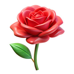 Rose, Single Red Rose, red rose, flower Arranging, plant Ste