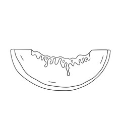 Hand drawn Cantaloupe Line Art Illustration